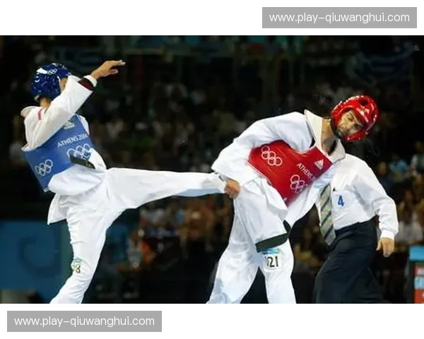 跆拳道球迷讨论：激情与技巧的碰撞